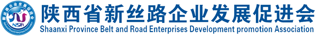 陕西省新丝路企业发展促进会