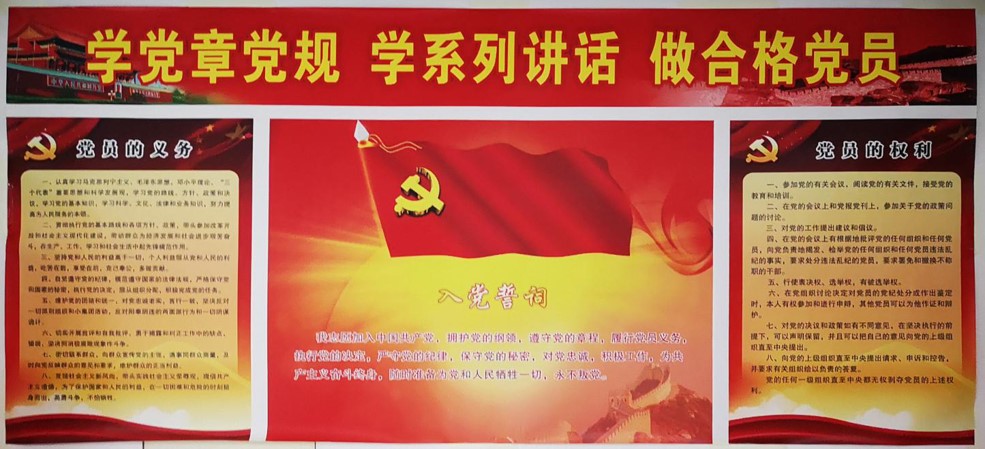 Party Branch(图1)