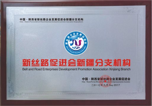 新丝路促进会新疆分支机构