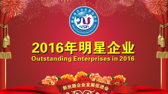 2016年明星企业