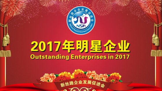 2017年明星企业