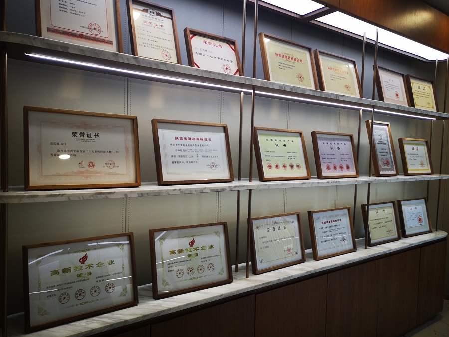 新丝路企业发展促进会走进企业系列活动——西安巨子生物基因技术股份有限公司(图7)