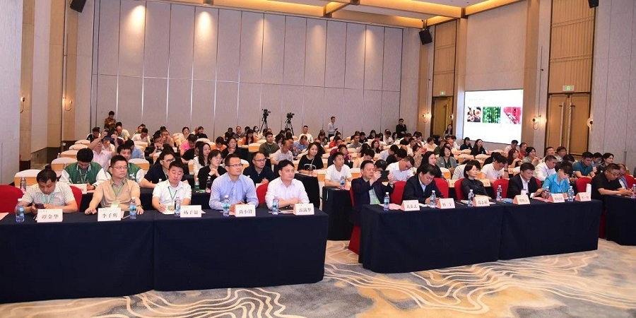 共话红茶文化新时代·共建美好英德新未来——英德红茶与世界的对话在品牌赋能英德红茶高质量发展论坛上召开(图4)