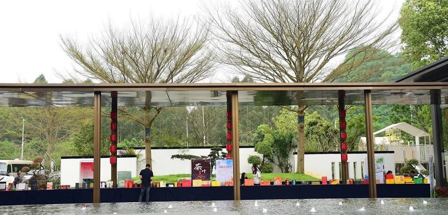 共话红茶文化新时代·共建美好英德新未来——英德红茶与世界的对话在品牌赋能英德红茶高质量发展论坛上召开(图20)